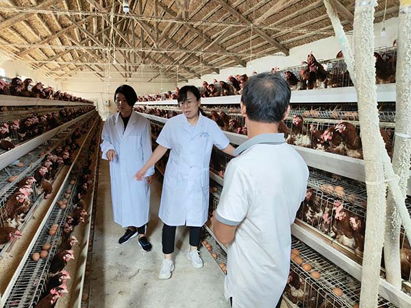优德88(中国区)最新官方网站